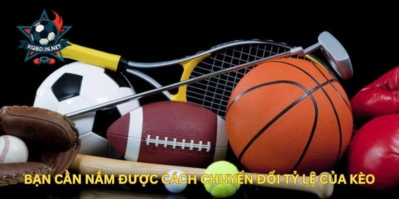 Tỷ Lệ Cược Là Gì? Tìm Hiểu Chi Tiết Từ A Đến Z Cùng KQBD